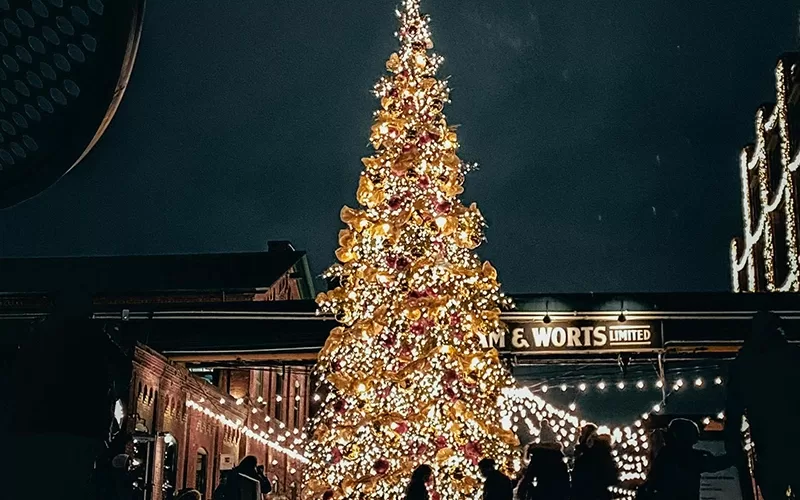 XMAS DIMMER — Christmas Trees & Markets use case