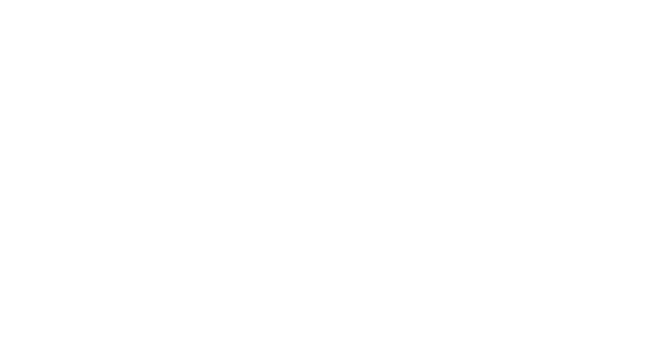 Led Strip Studio logo